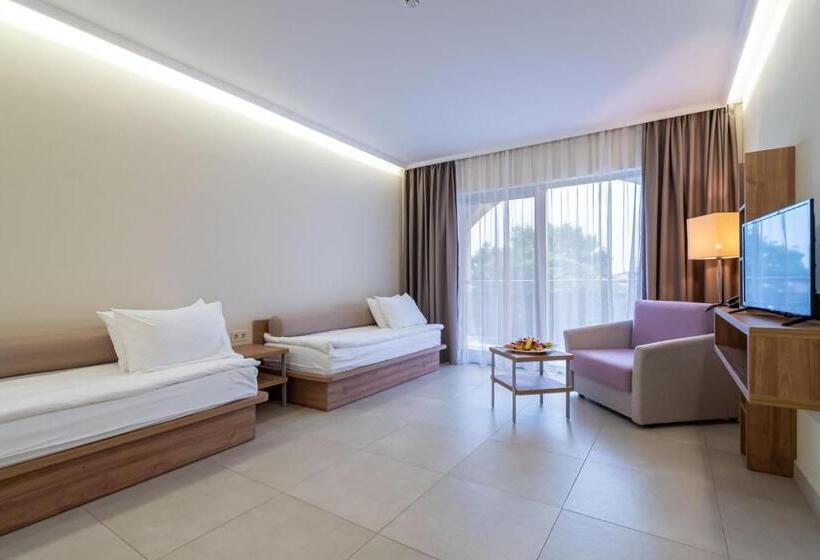 آپارتمان 1 خوابه, Belvedere Hotel   All Inclusive