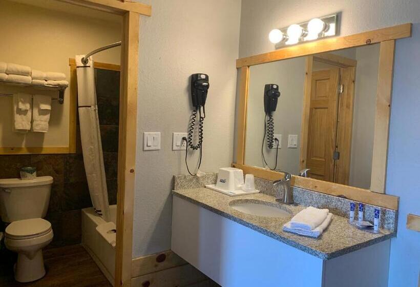 스탠다드 룸, Americas Best Value Inn Wall