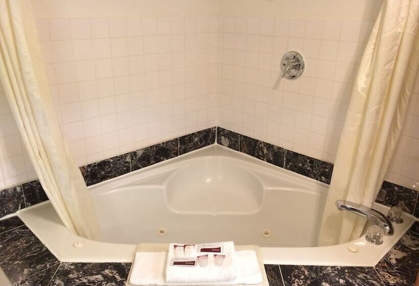 스탠다드 룸 킹사이즈 침대, King Oscar Motel Centralia