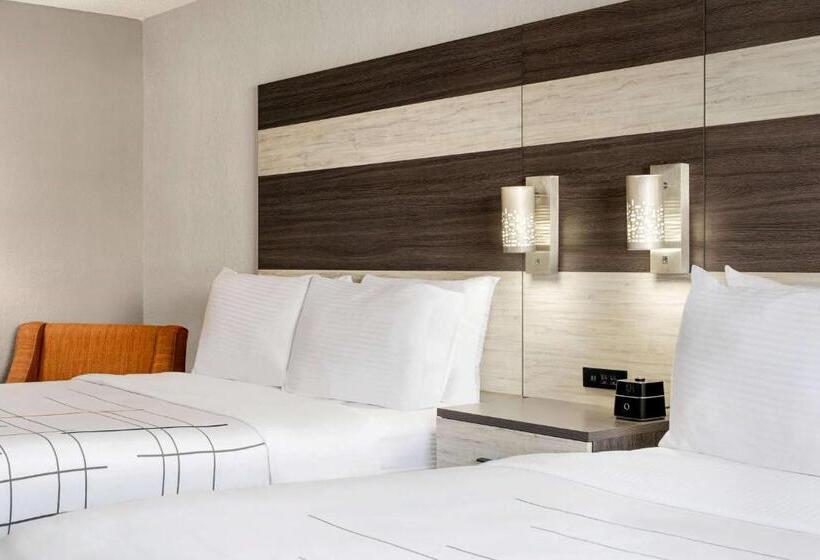 Номер Стандарт, La Quinta Inn Lexington Horse Park