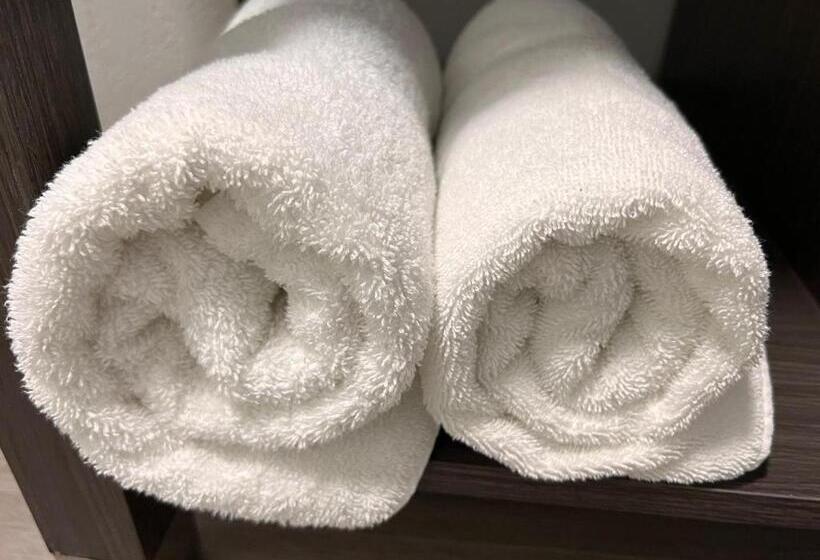 Номер Стандарт, La Quinta Inn Lexington Horse Park