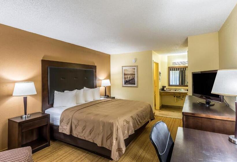 스탠다드 룸 킹사이즈 침대, Quality Inn Clemson Near University