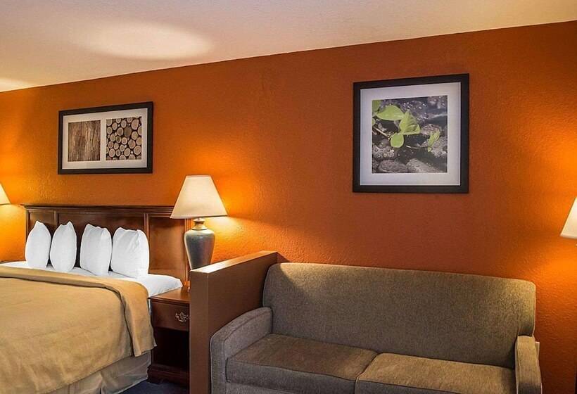 스위트 킹사이즈 침대, Quality Inn & Suites Cincinnati I 275
