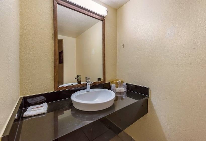 高级大房间, Red Roof Inn Plano