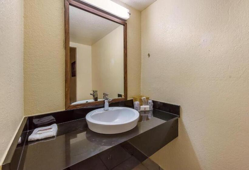带2个双人床的标准工作室, Red Roof Inn Plano