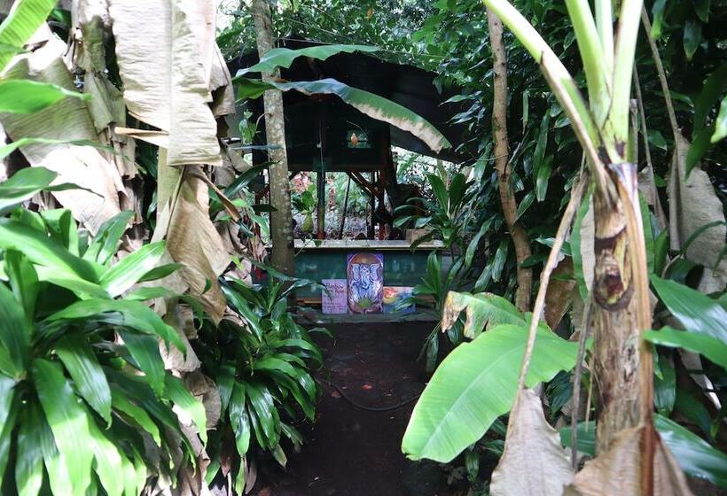 공동 객실, Cinderland Ecovillage   Hostel