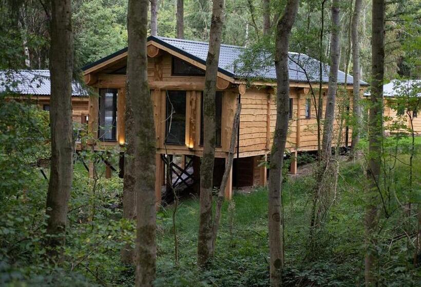 Дом 3 Спальни, Woodland Park Lodges
