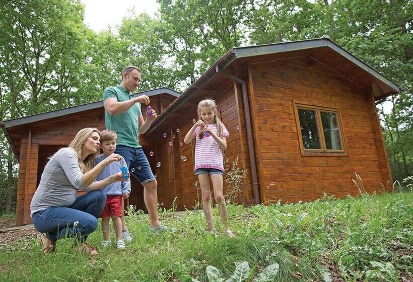 Дом 3 Спальни, Woodland Park Lodges