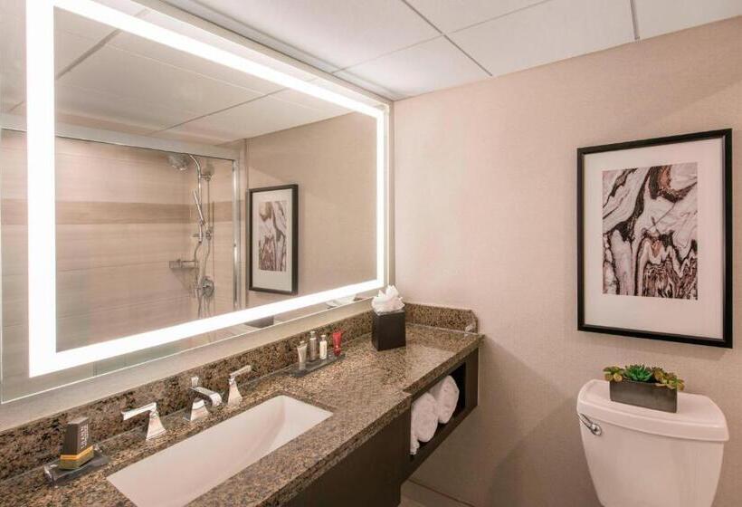 חדר סטנדרט עם מיטת קינג, Denver Marriott Tech Center