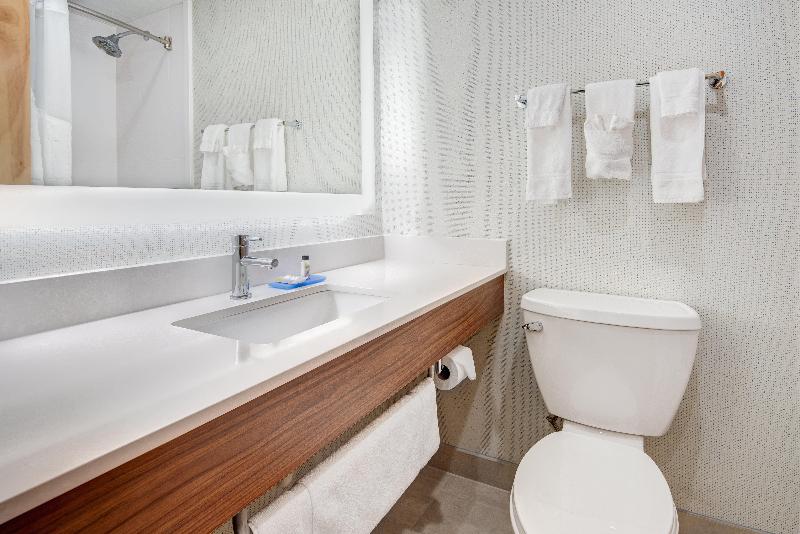 스탠다드 룸 킹사이즈 침대, Holiday Inn Express & Suites West Long Branch   Eatontown, An Ihg