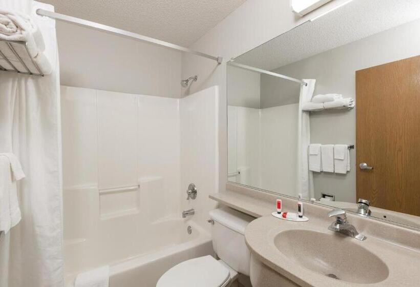 标准工作室, Microtel Inn & Suites By Wyndham Sioux Falls
