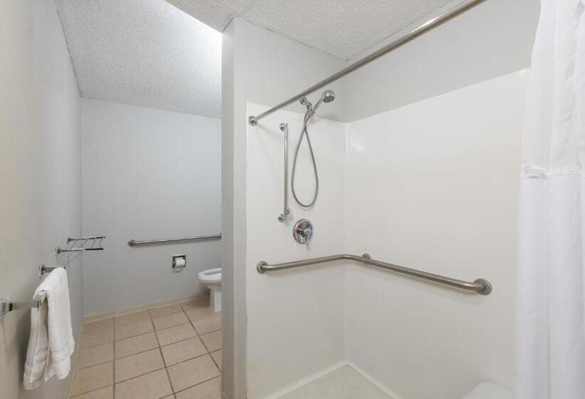 适用于残疾人士的豪华房间, Microtel Inn & Suites By Wyndham Sioux Falls