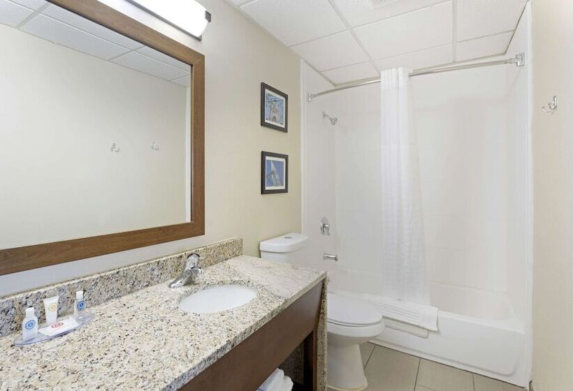 اتاق استاندارد با 2 تخت دوبل, Comfort Inn & Suites