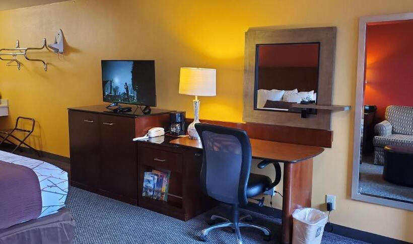 스탠다드 룸 킹사이즈 침대, Olympic Inn & Suites
