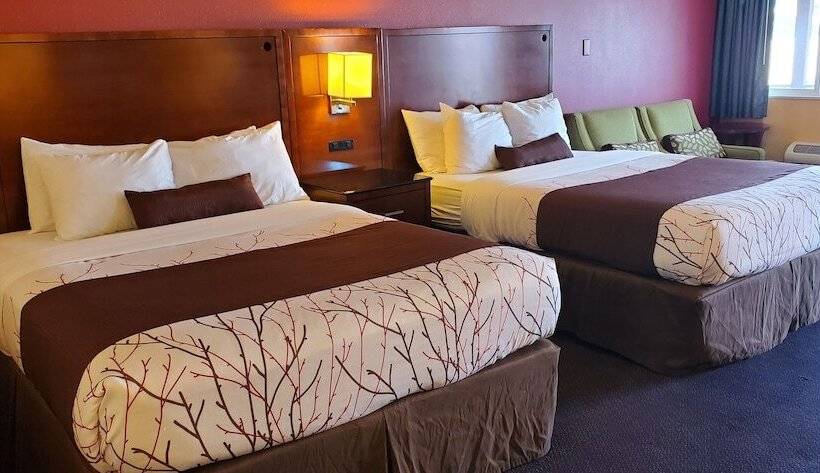 디럭스 룸, Olympic Inn & Suites