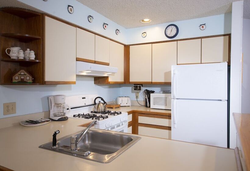 Апартаменты 3 Спальни, Winterplace On Okemo Mountain