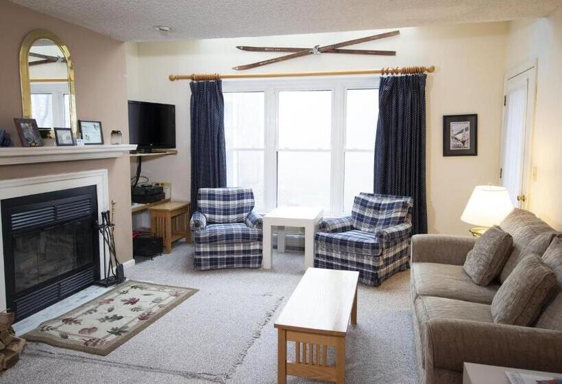Апартаменты 3 Спальни, Winterplace On Okemo Mountain