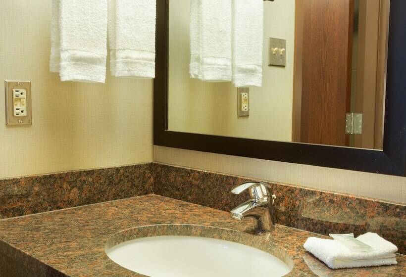 Chambre Deluxe, Pear Tree Inn San Antonio Airport