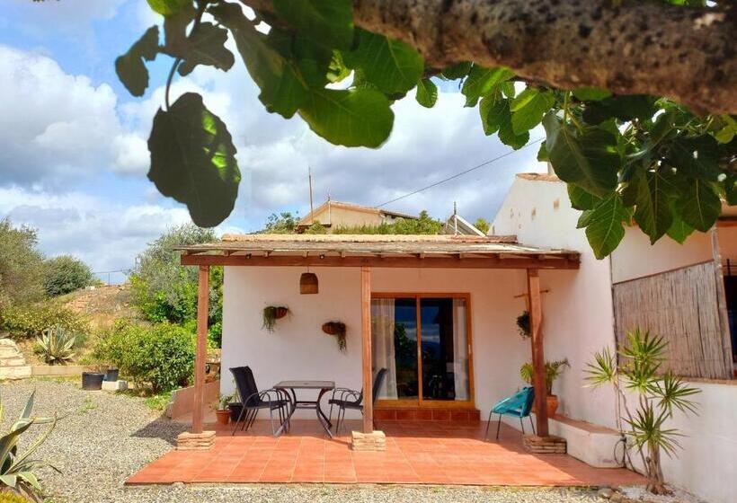 Студио Стандарт Кровать Кинг, Casa De La Vida Málaga