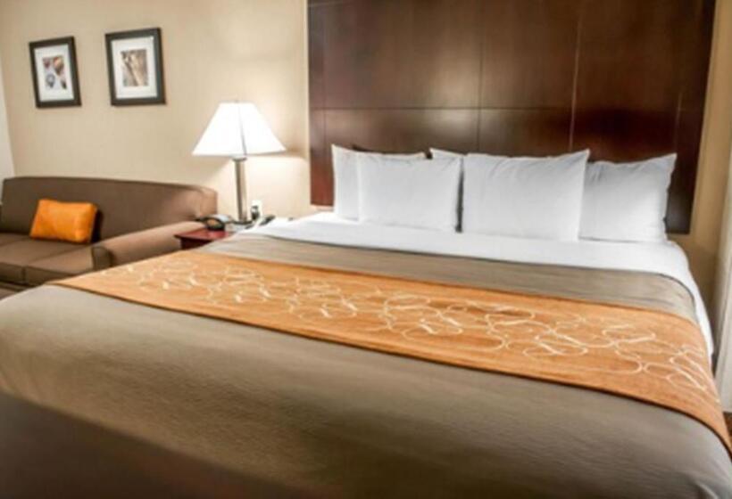Люкс Адаптированный для Инвалидов, Comfort Suites North Albuquerque Balloon Fiesta Park