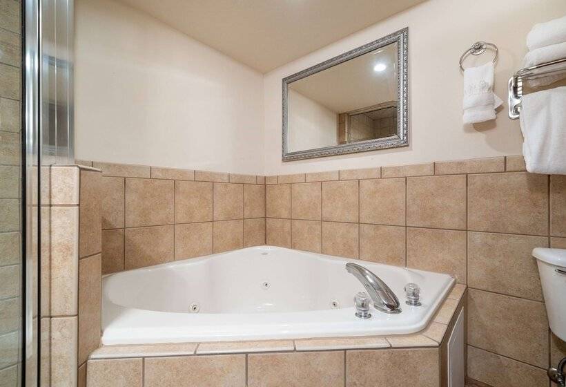 Люкс Кровать Кинг, Ramada By Wyndham Sioux Falls Airport   Waterpark Resort & Event Center