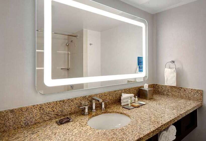 带大床的标准间, Doubletree By Hilton Virginia Beach Oceanfront South