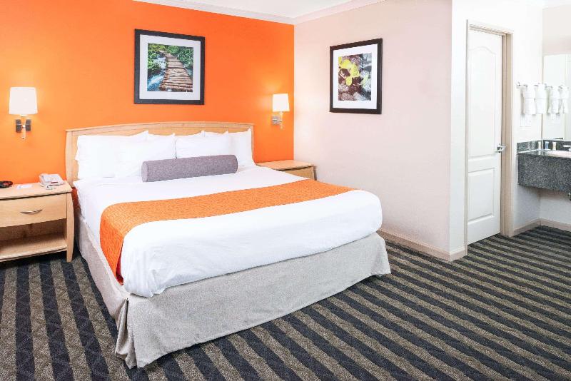 Suite Lit King, Surestay By Best Western San Francisco Marina District