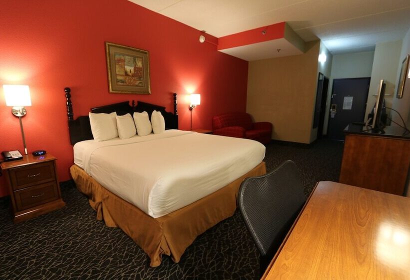 デラックスルーム, Ramada By Wyndham Bolingbrook
