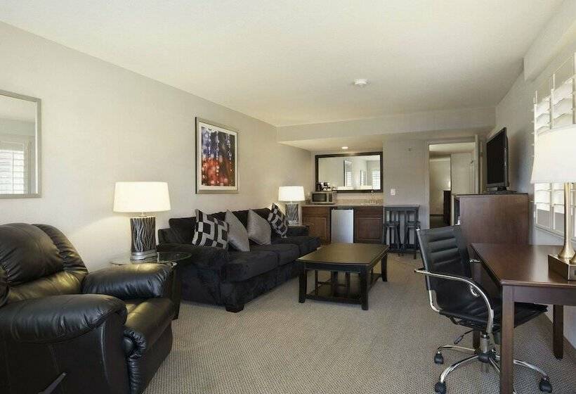 Люкс, Infinity Inn & Suites