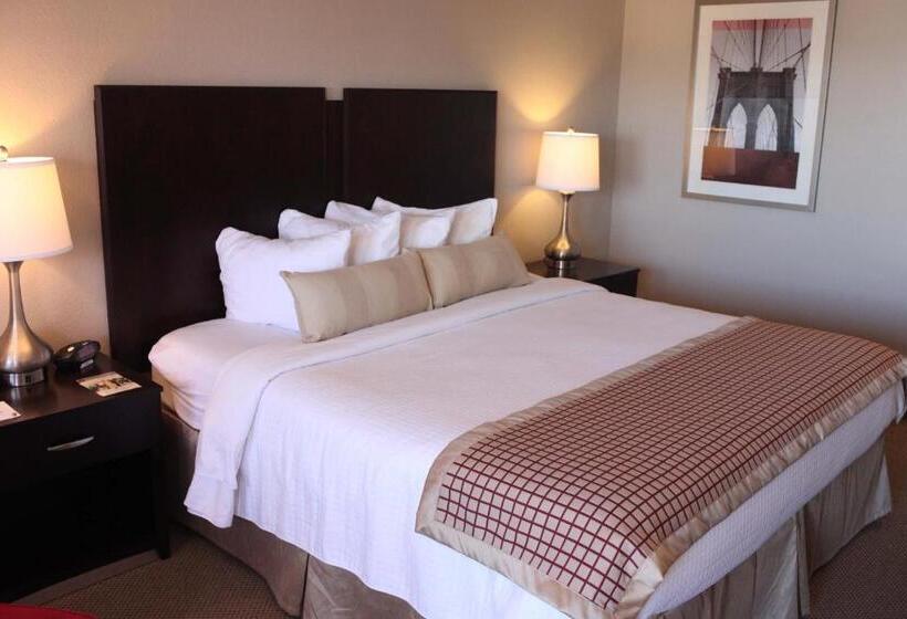 Стандартный Номер Кровать Кинг, Infinity Inn & Suites