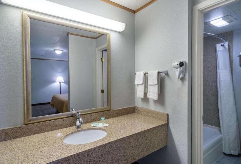 スタンダードルーム, Travelodge By Wyndham Pigeon Forge