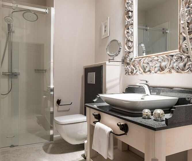 高级客房, Aries Hotel & Spa Wisła