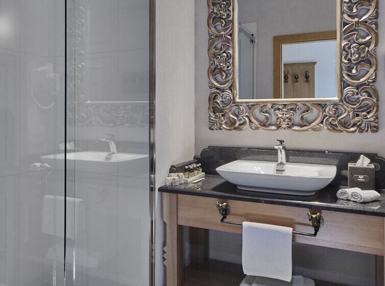 套房, Aries Hotel & Spa Wisła