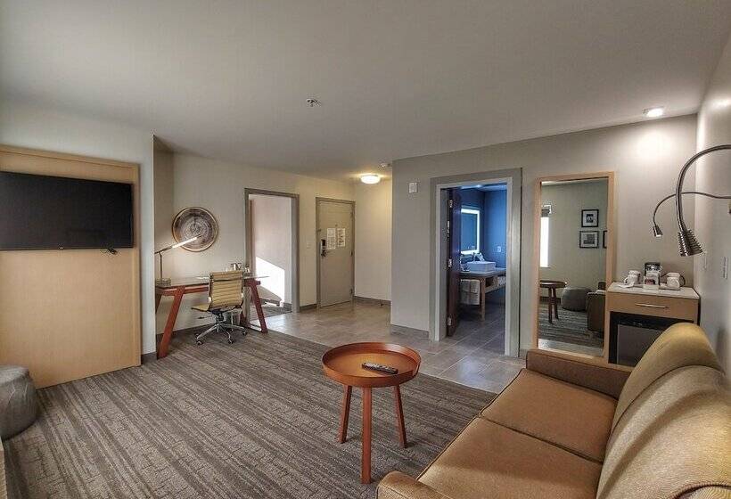 스위트, Radisson Hotel Atlanta Airport