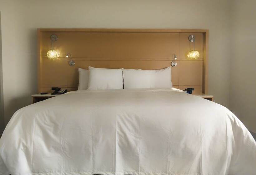 장애인을 위한 스위트, Radisson Hotel Atlanta Airport