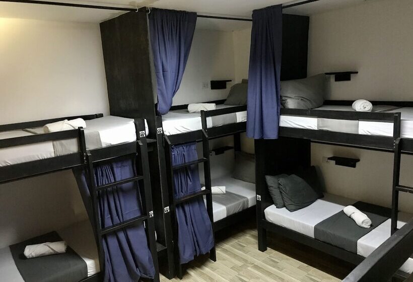 공동 객실, Crazy Bears Hostel