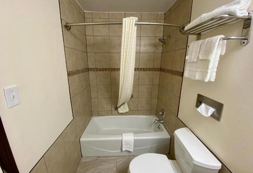 带大床的标准间, Roswell Inn