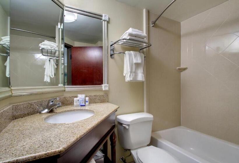 스탠다드 룸 킹사이즈 침대, Best Western Eagles Inn