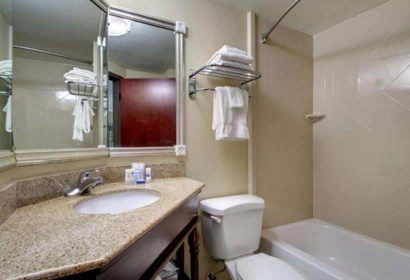 스탠다드 룸 킹사이즈 침대, Best Western Eagles Inn
