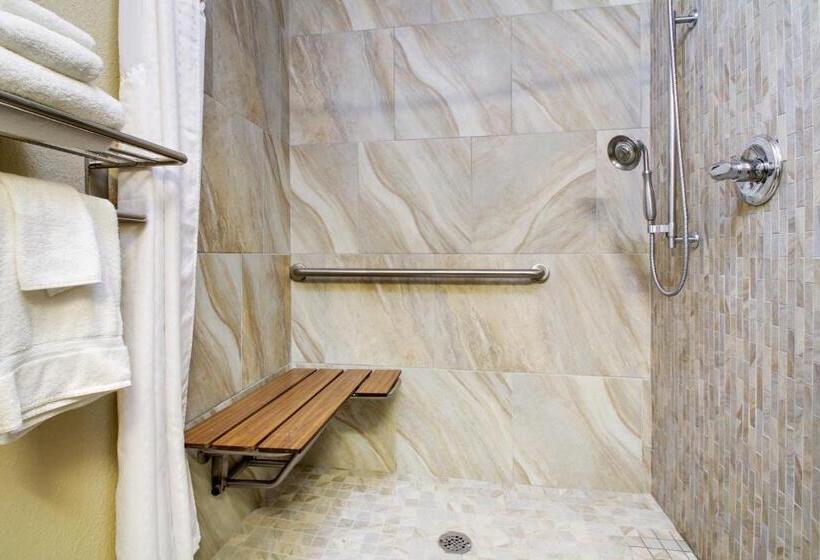 장애인을 위한 킹사이즈 침대 스탠다드 룸, Best Western Eagles Inn