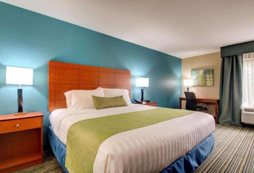 장애인을 위한 킹사이즈 침대 스탠다드 룸, Best Western Eagles Inn