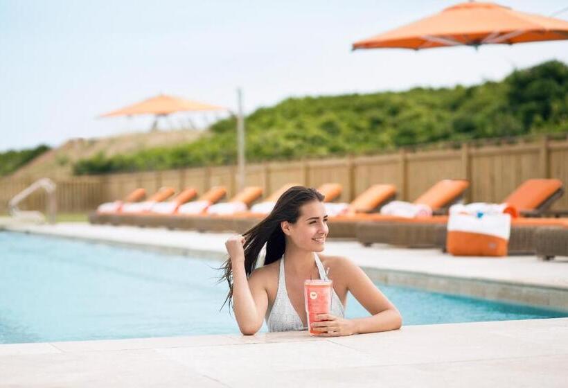 スタンダードルーム, Sanderling Resort Outer Banks