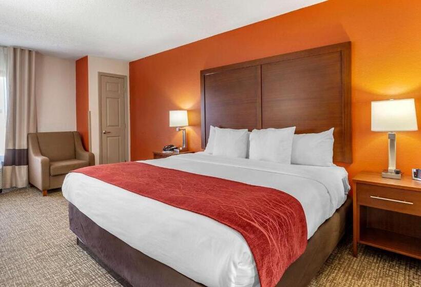 带大床的标准间, Comfort Inn Greensboro  Kernersville