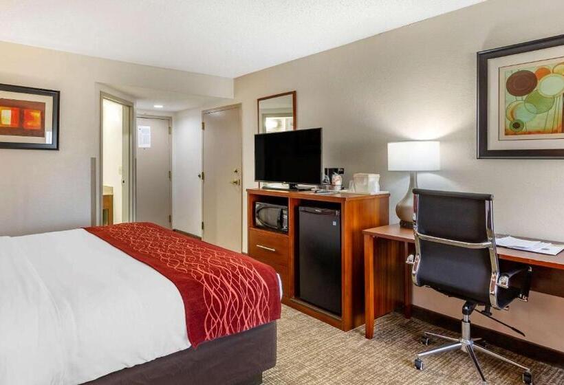 带大床的标准间, Comfort Inn Greensboro  Kernersville