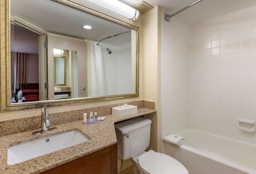 带2个双人床的标准工作室, Comfort Inn Greensboro  Kernersville