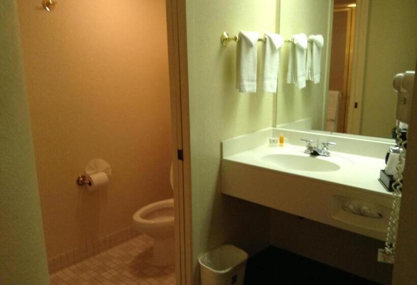Номер Стандарт, Econo Lodge Denver International Airport