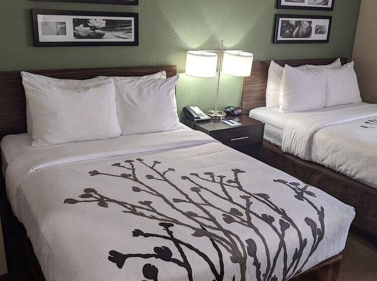 스탠다드 룸 더블 침대 2개, Sleep Inn Nampa Near Idaho Center