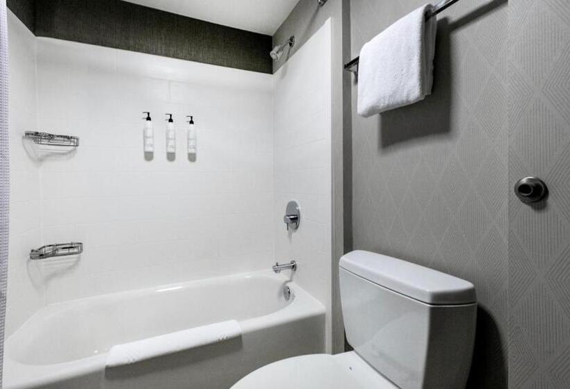Люкс, Springhill Suites Anchorage Midtown