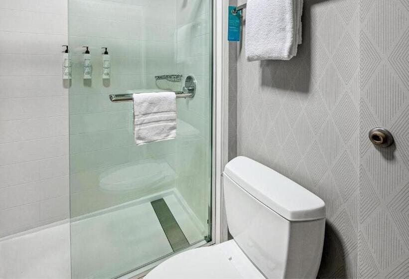 Люкс Адаптированный для Инвалидов, Springhill Suites Anchorage Midtown