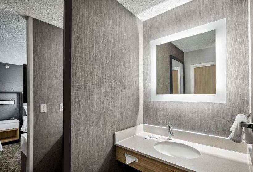 Люкс Адаптированный для Инвалидов, Springhill Suites Anchorage Midtown
